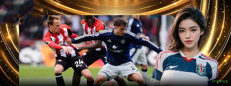 Programa VIP organpg